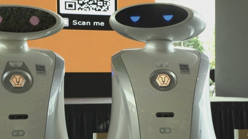 A janë robotët “miqtë apo armiqtë tanë”? Ja çfarë mendojnë njerëzit në disa pjesë të botës